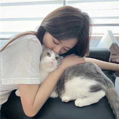 汉城彩虹